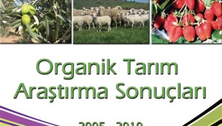 Sürdürülebilir Tarım Uygulamaları: Organik Tarımın Yükselişi ve Gıda Güvencesi İçin Çözümler